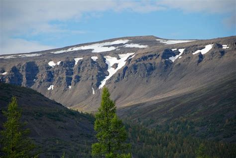 Initial Pulse of Siberian Traps Sills Triggered End.